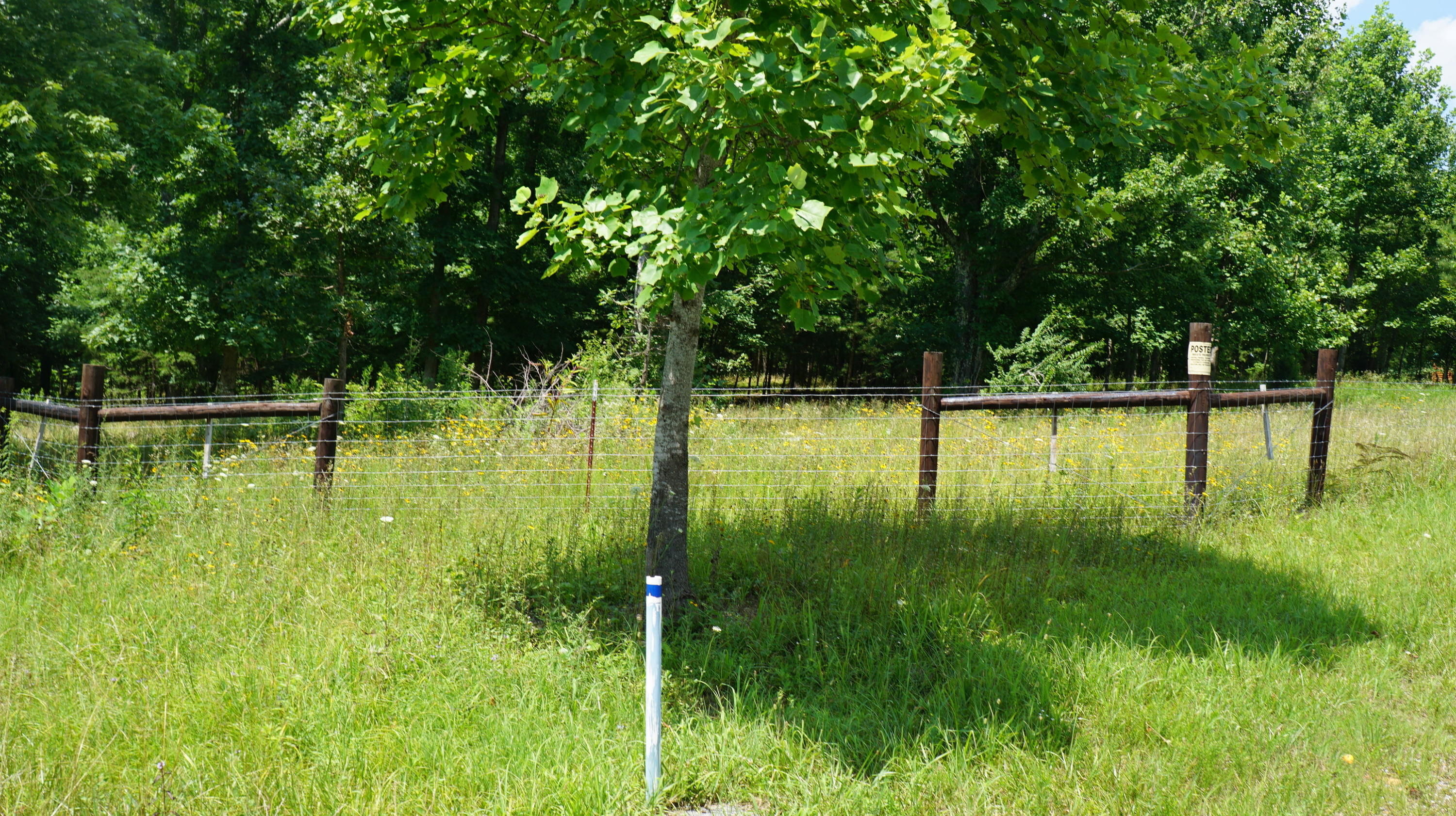 70 & Arthur Seagraves Road Sparta, TN 38583 - Photo 28 of 28 DSC02025