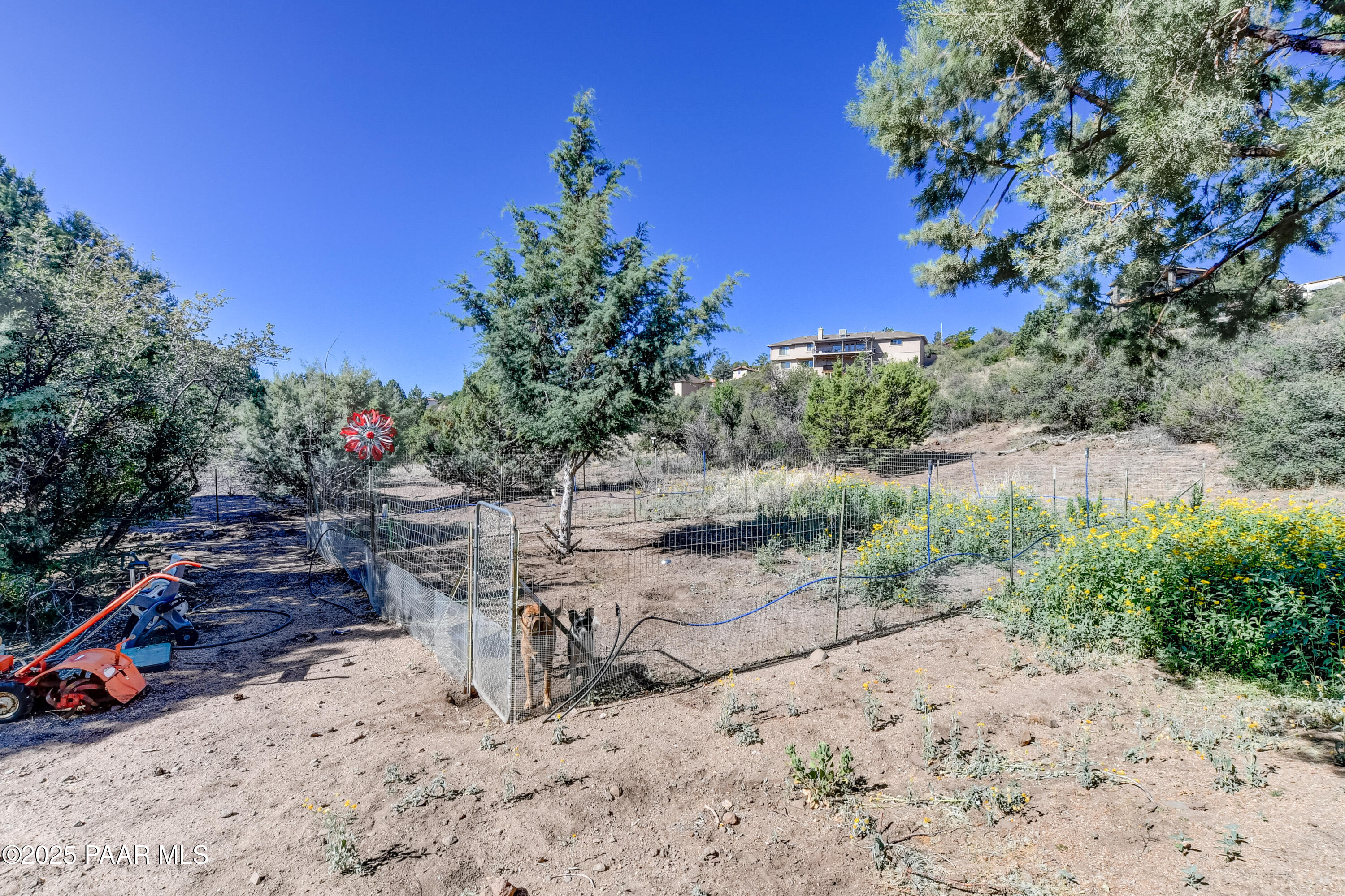 1365 West Ridge Drive Prescott, AZ 86305 - Photo 30 of 34 Back Yard 1