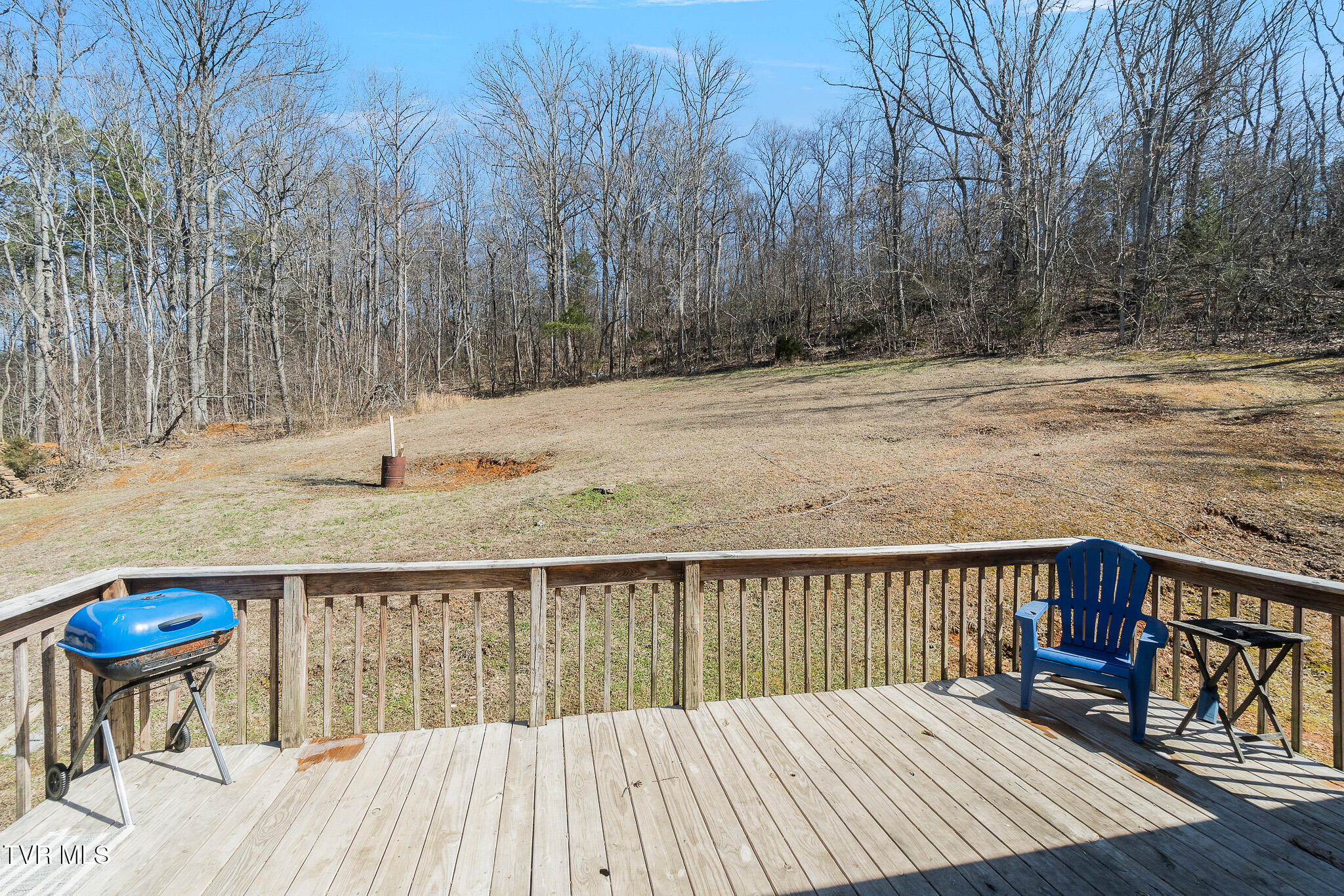2062 Pleasant Ridge School Road Talbott, TN 37877 - Photo 50 of 68 DSC01302