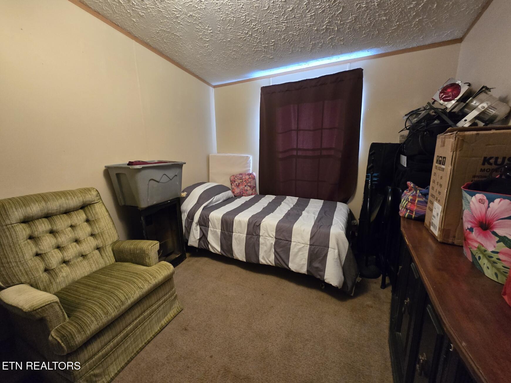 8275 Brimstone Road Robbins, TN 37852 - Photo 39 of 58 20260122_123956