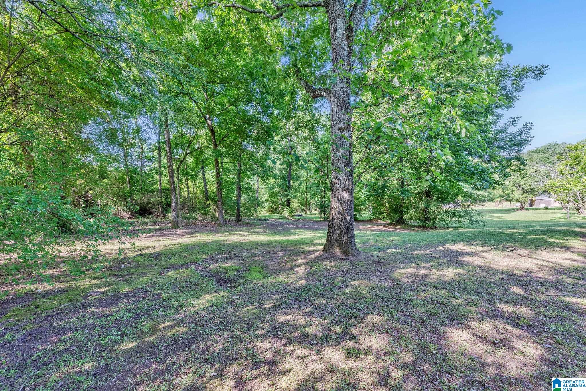 740 High Rock Road Hayden, AL 35079 - Photo 18 of 25