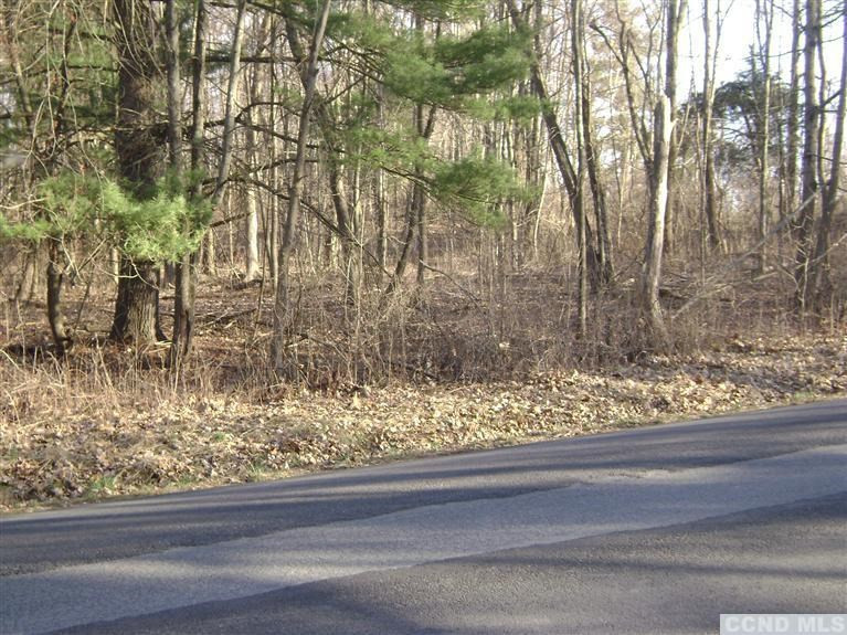 0 New Forge Road Taghkanic, NY 12521 - Photo 5 of 5 a view of a yard and a tree