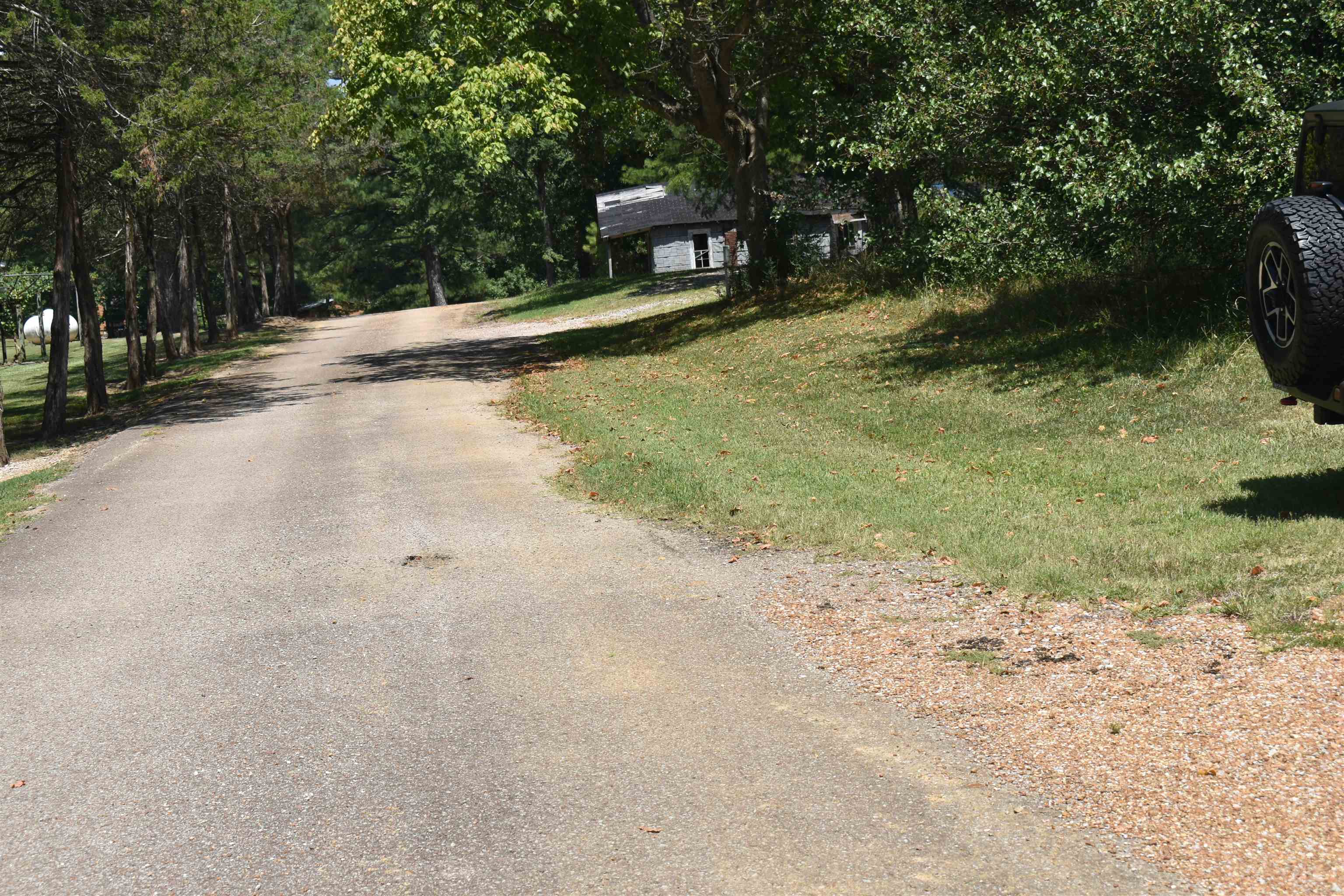 0 Hannah Drive Ramer, TN 38367 - Photo 3 of 5 a view of a yard with plants and trees