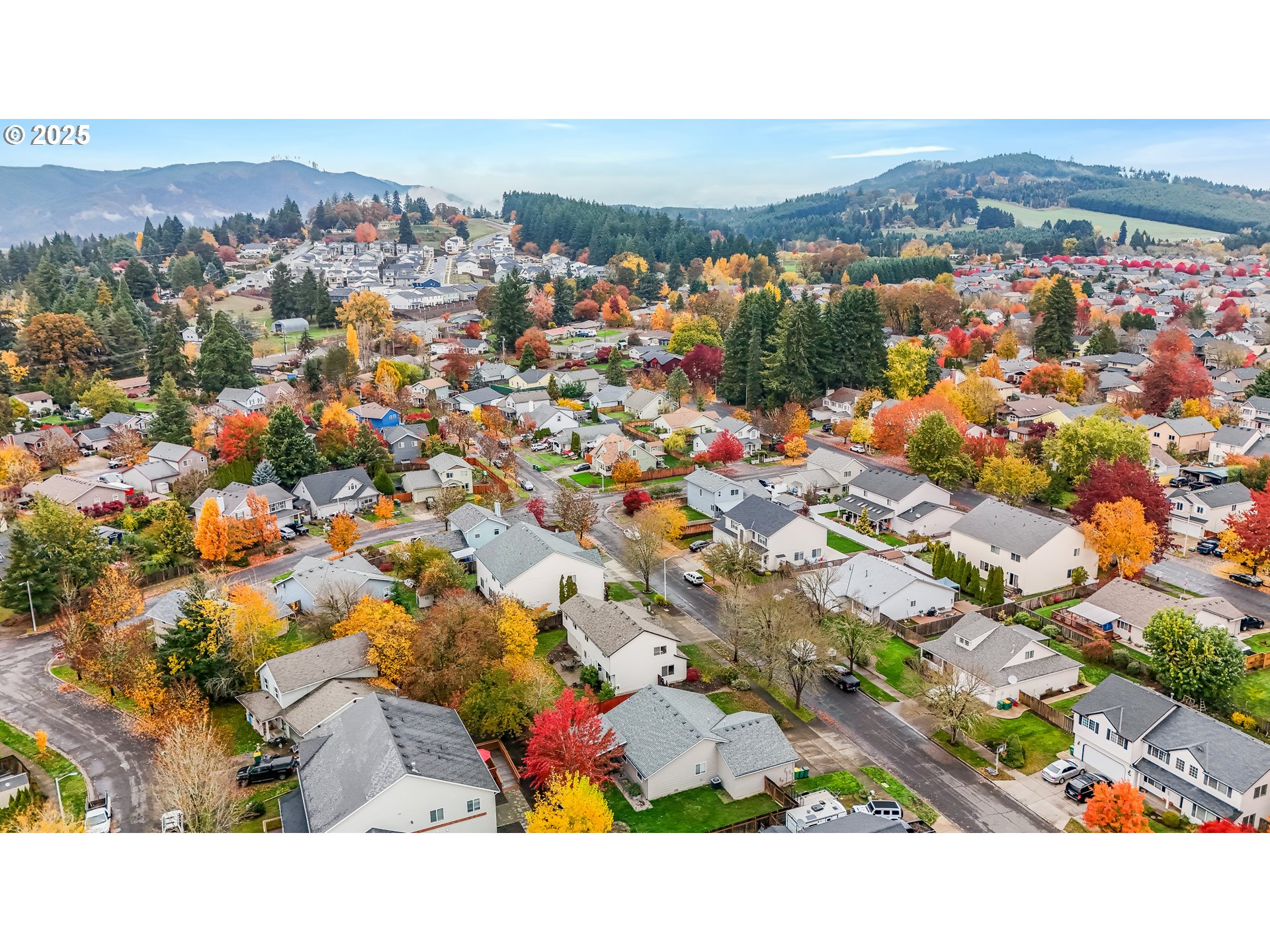 1224 Alyssum Avenue Forest Grove, OR 97116 - Photo 36 of 39 a view of city and mountain