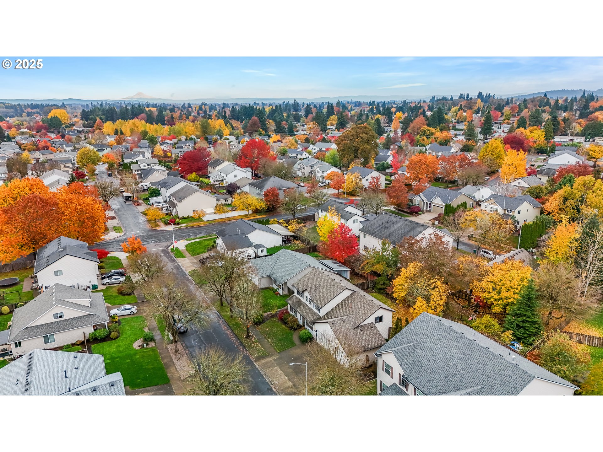 1224 Alyssum Avenue Forest Grove, OR 97116 - Photo 38 of 39 view of city
