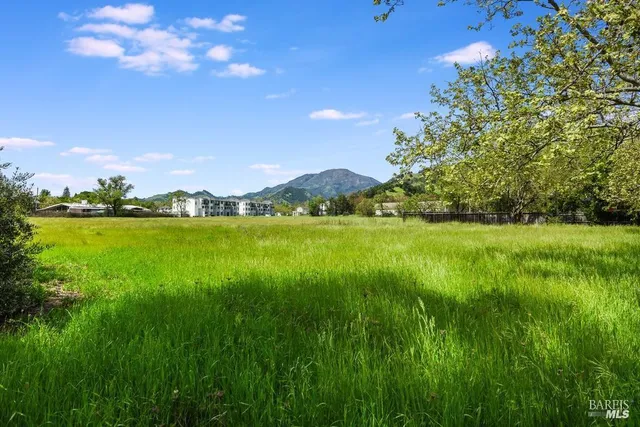 a view of a city with tall trees
