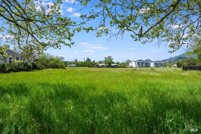 a view of yard with grass and a building in the background