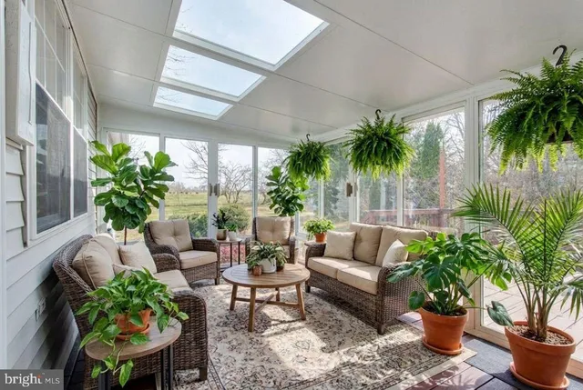 a living room with furniture potted plant and a window
