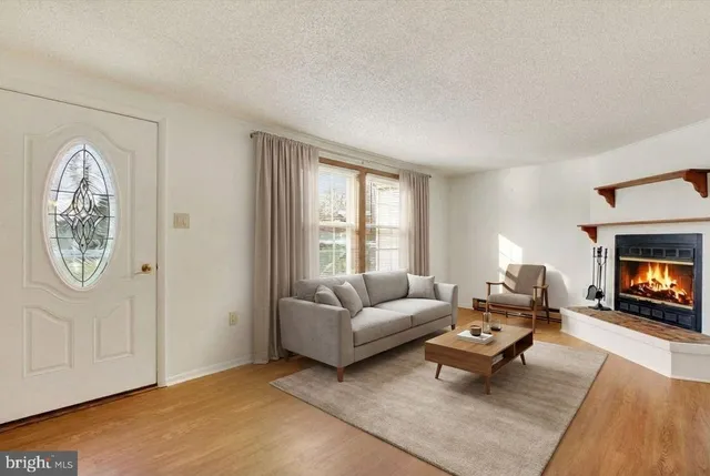 a living room with furniture a rug and a fireplace