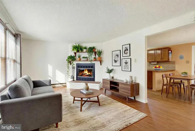 a living room with furniture a rug and a fireplace