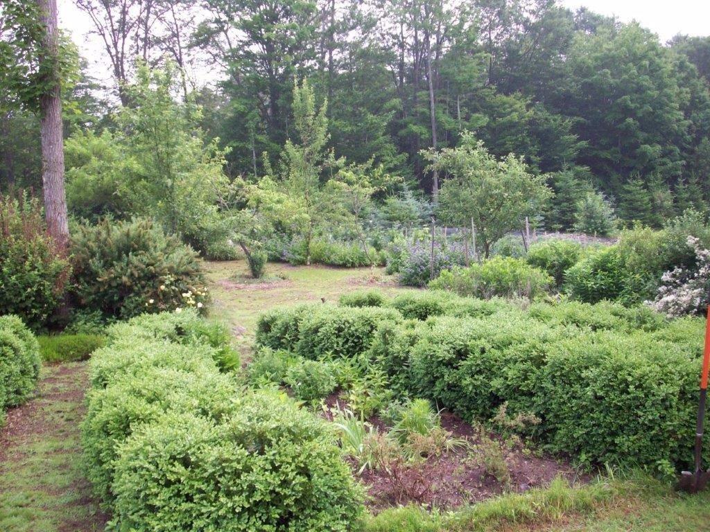 73 South Adams Road Litchfield, ME 04350 - Photo 28 of 31 Maintained walking paths throughout...