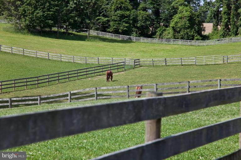 12918 Harford Road Hydes, MD 21082 - Photo 26 of 30 Pasture