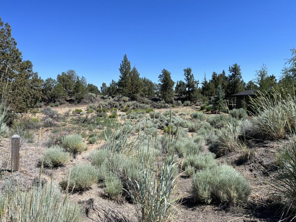 22957 Ghost Tree Lane, Unit 333 Bend, OR 97701 - Photo 5 of 21 lot view from Ghost tree lane