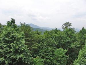 5321 Fox Den Road Roanoke, VA 24018 - Photo 37 of 51 VIEWS