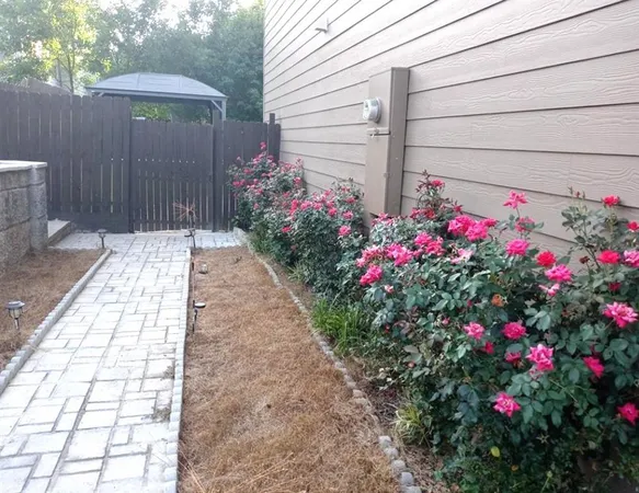 a view of a house with a backyard