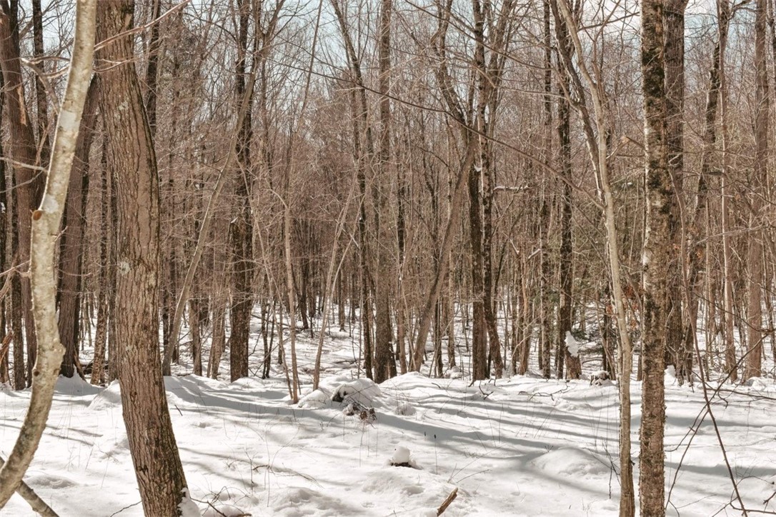 200 Joe Sarle Road Glocester, RI 02814 - Photo 36 of 37 backyard