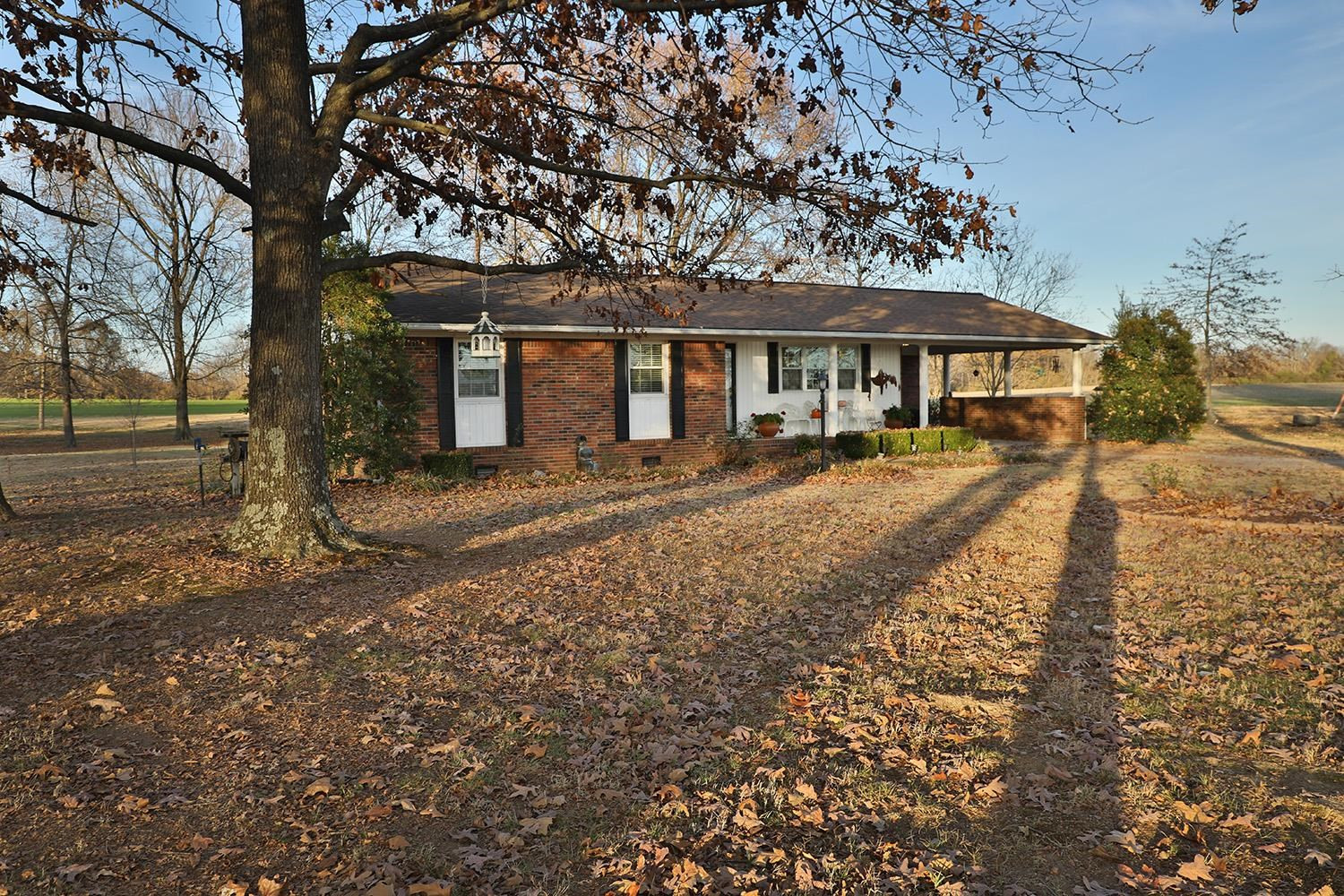 340 Mayo Road Dukedom, TN 38226 - Photo 1 of 19 Photo 1