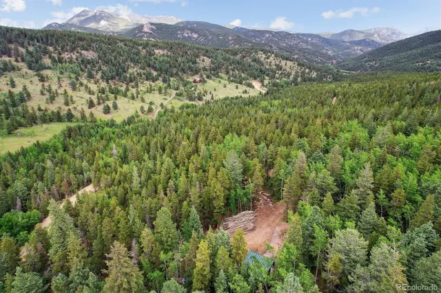 a view of a lush green hillside and a houses