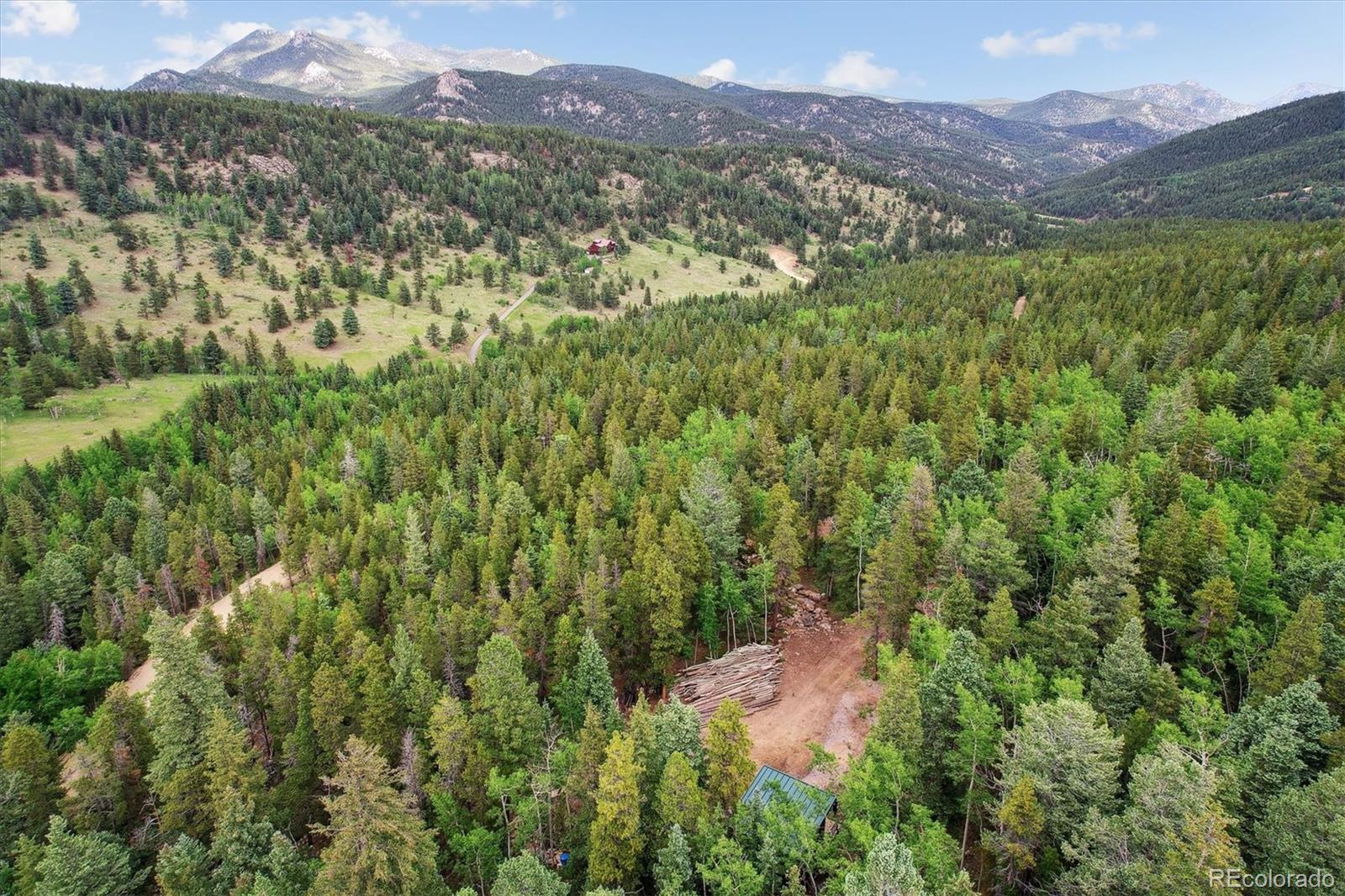 a view of a lush green hillside and a houses