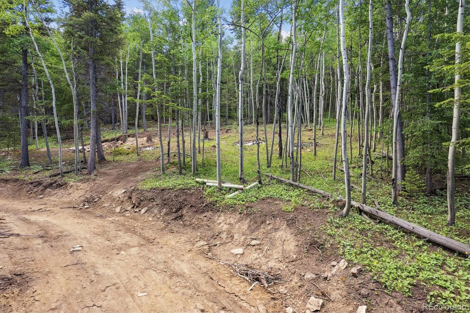 3450 Smith Hill Road Black Hawk, CO 80422 - Photo 16 of 26 a view of a park with a trees