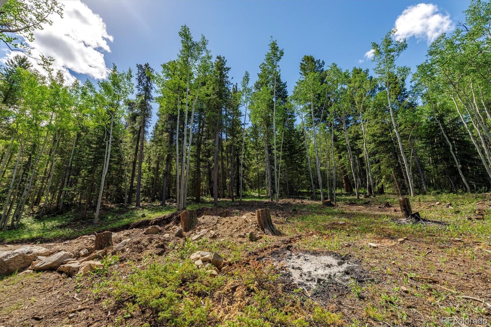 3450 Smith Hill Road Black Hawk, CO 80422 - Photo 17 of 26 a backyard of a house with lots of green space
