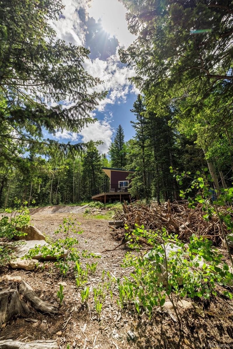 3450 Smith Hill Road Black Hawk, CO 80422 - Photo 18 of 26 a fire hydrant in the middle of a field