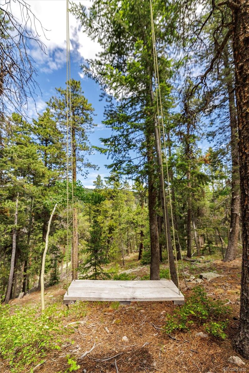 3450 Smith Hill Road Black Hawk, CO 80422 - Photo 20 of 26 a view of yard