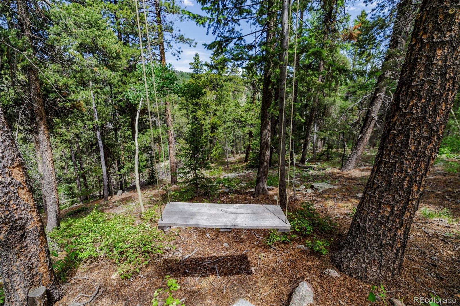 3450 Smith Hill Road Black Hawk, CO 80422 - Photo 21 of 26 a view of a tree in the middle of a yard