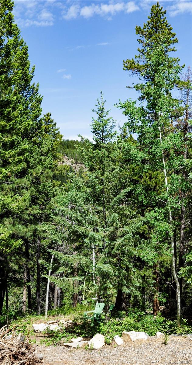 3450 Smith Hill Road Black Hawk, CO 80422 - Photo 26 of 26 a view of a garden with a tree