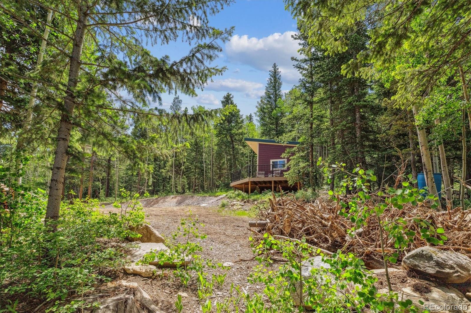 3450 Smith Hill Road Black Hawk, CO 80422 - Photo 9 of 26 a fire hydrant in the middle of a field