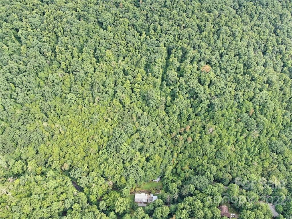 958 Cane Creek Road Sylva, NC 28779 - Photo 3 of 47 Gallery Image 3
