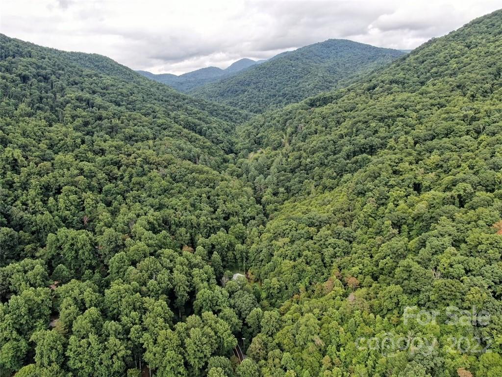 958 Cane Creek Road Sylva, NC 28779 - Photo 9 of 47 Gallery Image 9