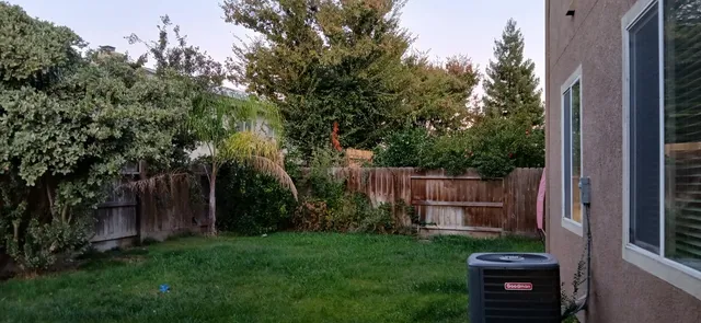 a view of a backyard with potted plants and large tree
