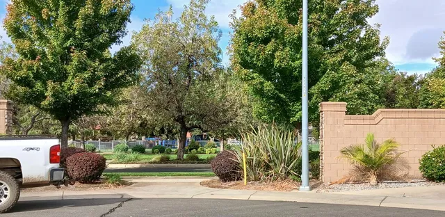 a view of a street with potted plants and large trees