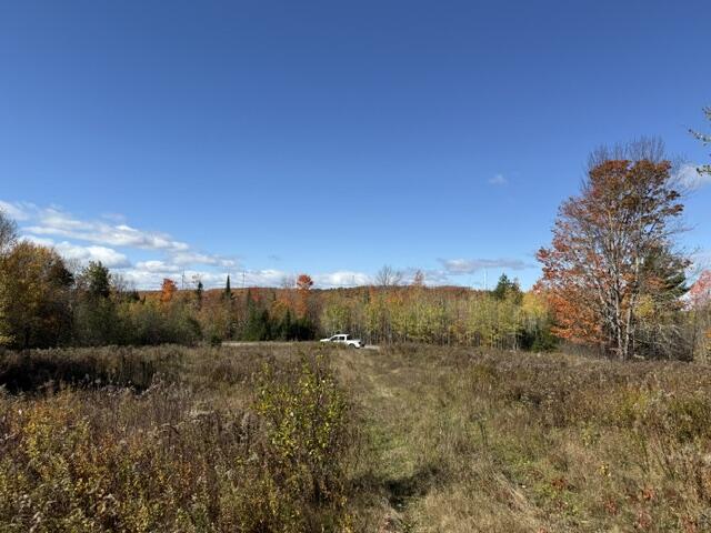1556 Springfield Road Danforth, ME 04424 - Photo 13 of 14 IMG_0549