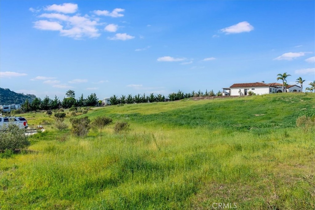 488 Del Sur Arroyo Grande, CA 93420 - Photo 23 of 35 a view of a big yard with a large tree and plants