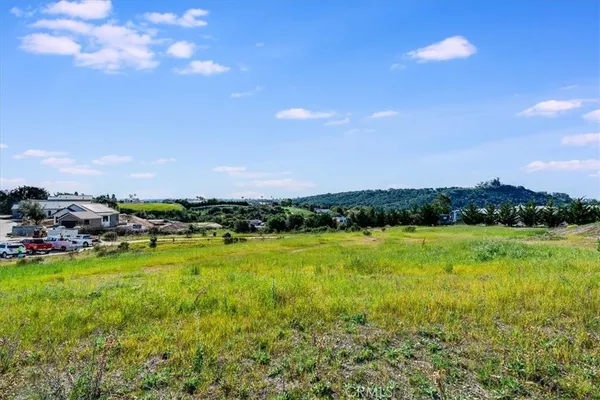 a view of a big yard with lots of green space and deers