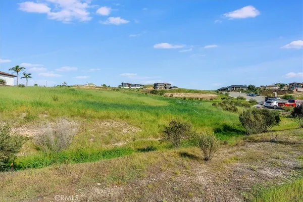 a view of a green field with lots of bushes