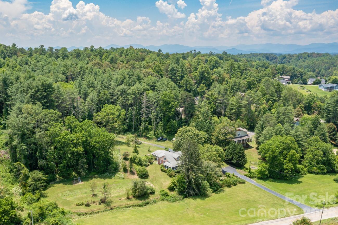 160 McLean Road Weaverville, NC 28787 - Photo 1 of 25