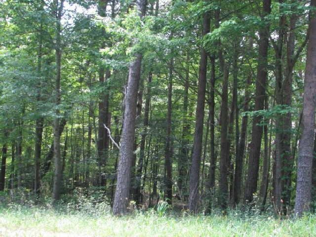 170 Henderson Mountain Road Jasper, GA 30143 - Photo 1 of 1