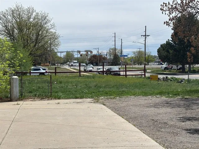a view of a park with plants