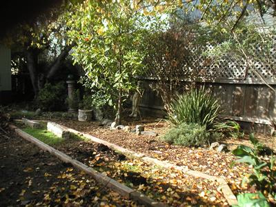 616 Olive Street Santa Rosa, CA 95407 - Photo 7 of 11 Gallery Image 7
