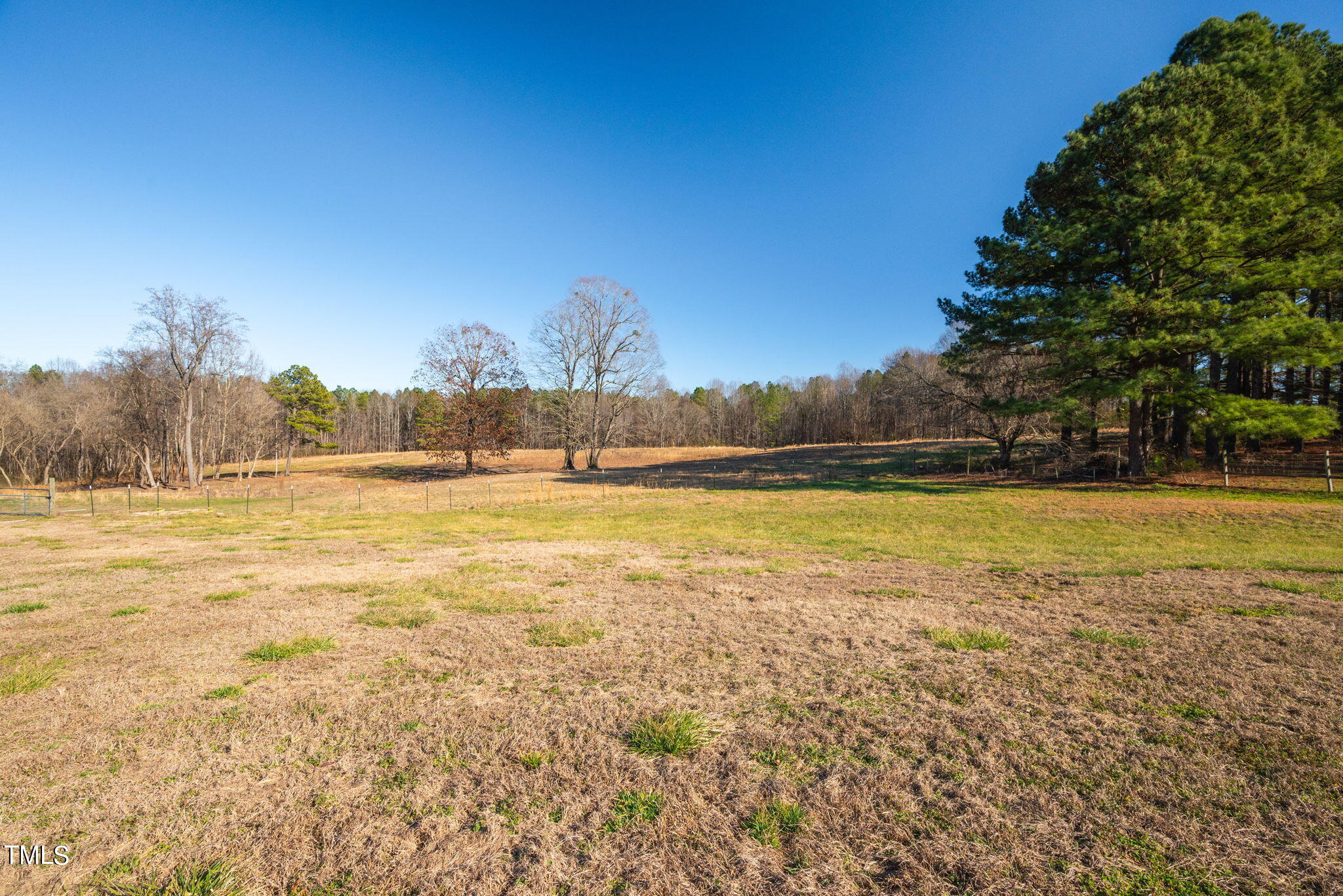 1428 Spring Valley Lake Road Henderson, NC 27537 - Photo 69 of 92 View of side yard