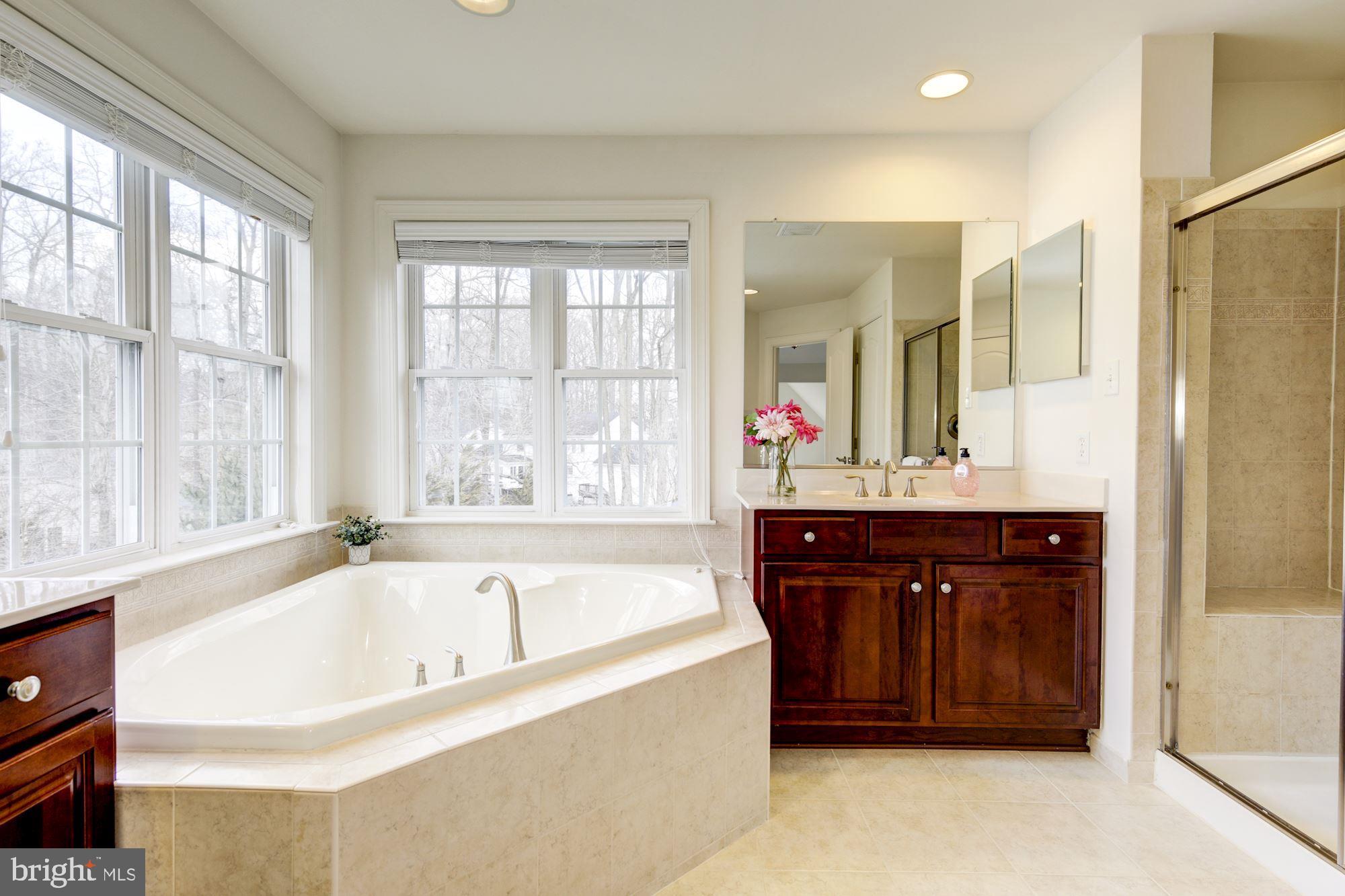 9604 Owen Brown Road Columbia, MD 21045 - Photo 40 of 73 Luxury Spa Master Bath
