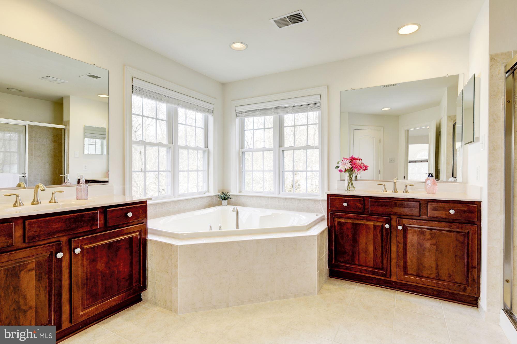 9604 Owen Brown Road Columbia, MD 21045 - Photo 41 of 73 Luxury Spa Master Bath