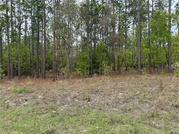 $60,000 | Southwest 125th Court Road, Dunnellon, FL 34432