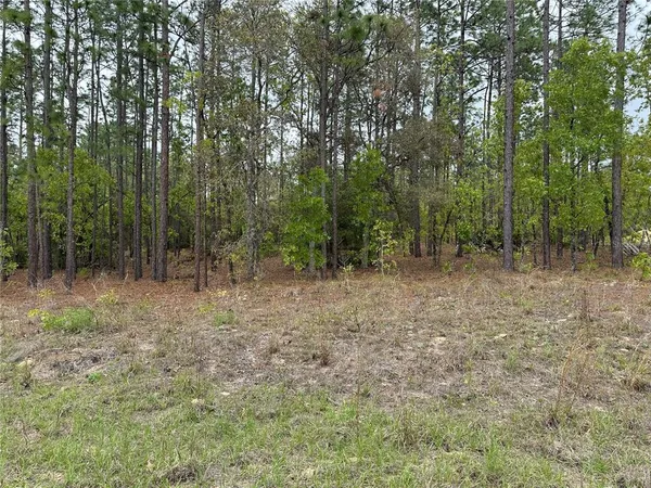 $60,000 | Southwest 125th Court Road, Dunnellon, FL 34432