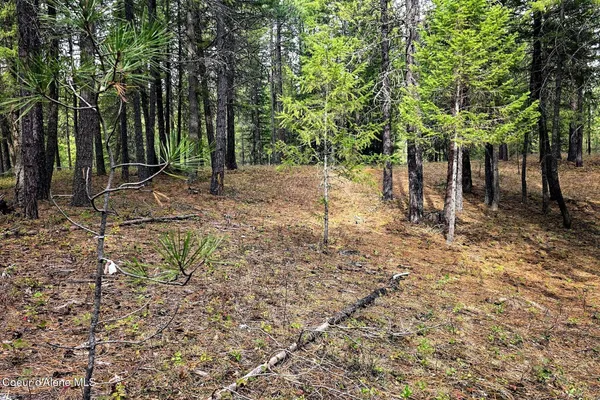 $129,500 | Nla Dusty Lane, Naples, ID 83847