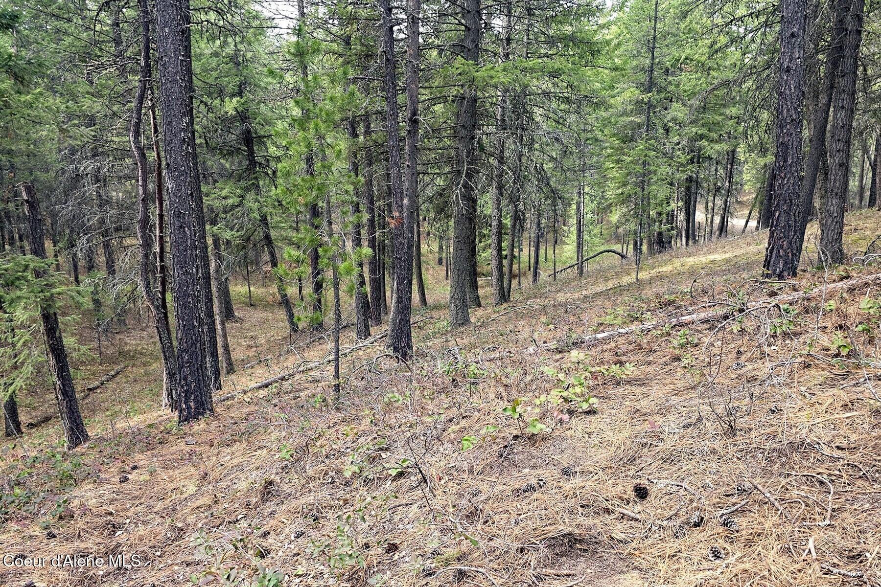 Nla Dusty Lane Naples, ID 83847 - Photo 11 of 21 Slope from West to Bench