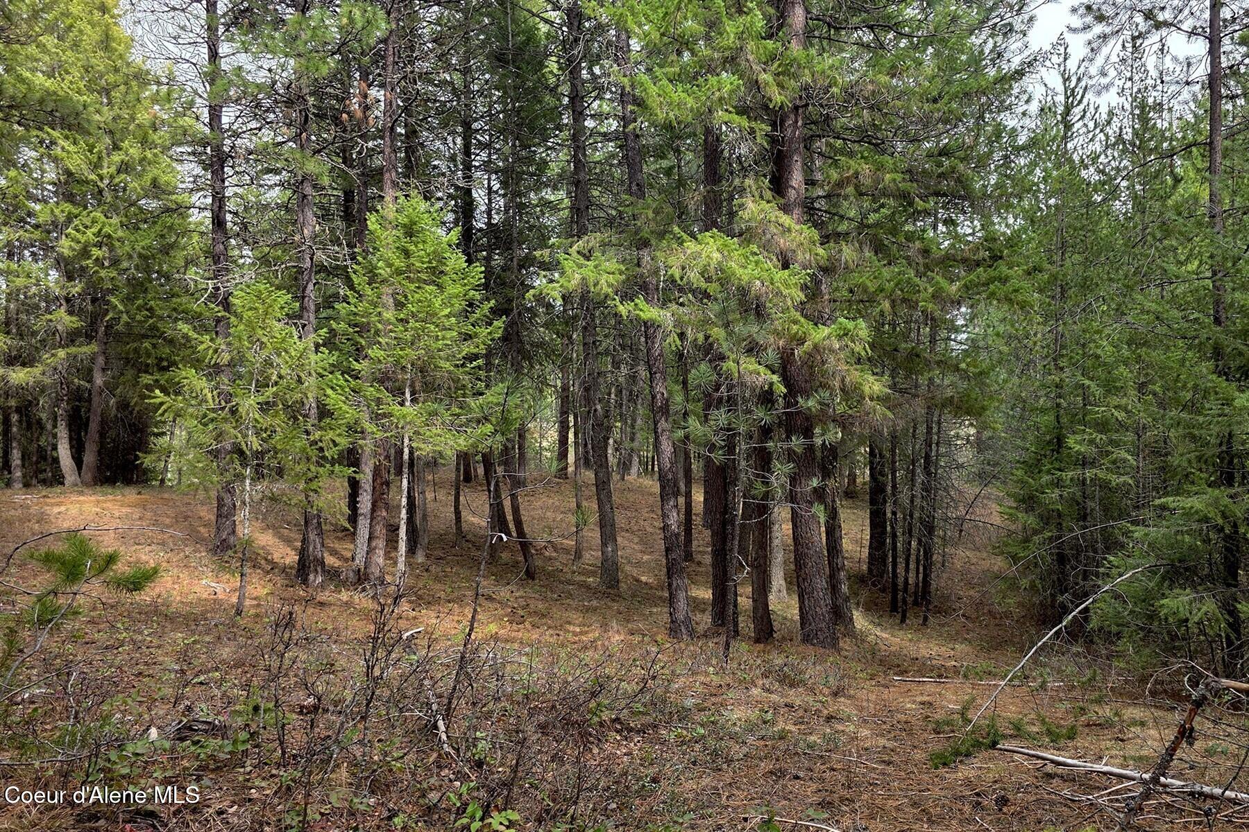 Nla Dusty Lane Naples, ID 83847 - Photo 12 of 21 Upper bench area